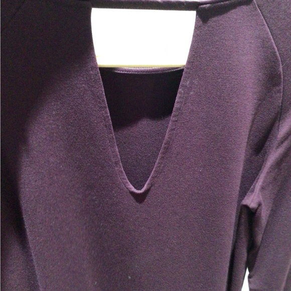 Massimo Dutti Eggplant Color dress size Large - Picture 2 of 2